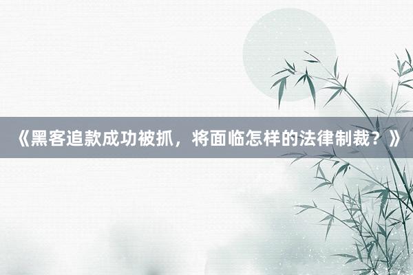 《黑客追款成功被抓，将面临怎样的法律制裁？》